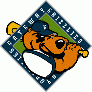 Gateway Grizzlies 2001-Pres Primary Logo iron on transfers for T-shirts